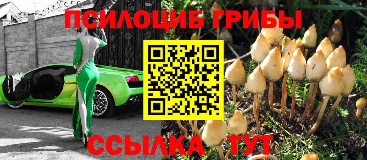 Галлюциногенные грибы Magic Shrooms Калач-на-Дону