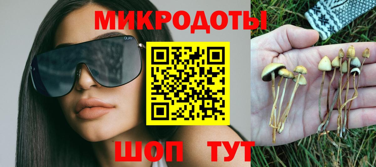 Галлюциногенные грибы прущие грибы  где найти   Калач-на-Дону  Вход с VPN 